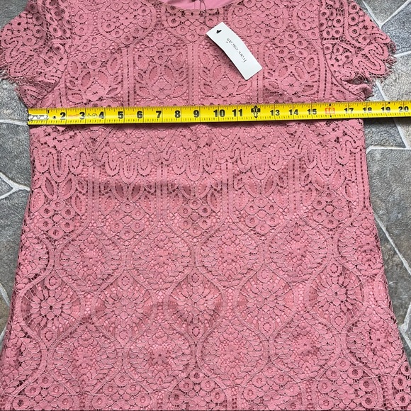 francesca’s Rose Lace Overlay Dress - Picture 6 of 12